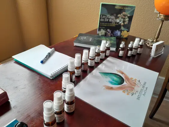 Praticien fleurs de bach à Nîmes